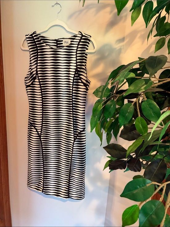 Beige by eci Dresses & Skirts - Beige by eci Black & White Sleeveless Striped Midi Dress Size:8